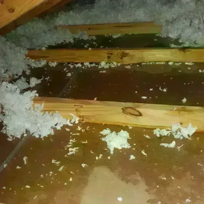 Attic Water Damage in Old Tappan, NJ